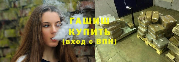 прущие грибы Ельня