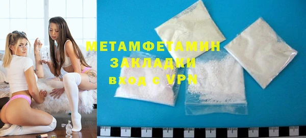 прущие грибы Ельня