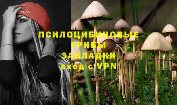 эйфоретик Елизово