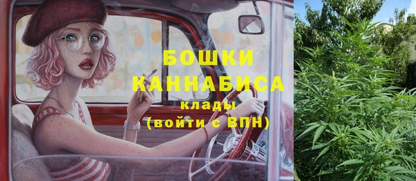 ГАЛЛЮЦИНОГЕННЫЕ ГРИБЫ Дмитров