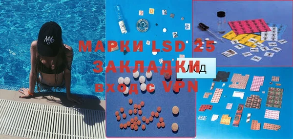 прущие грибы Ельня