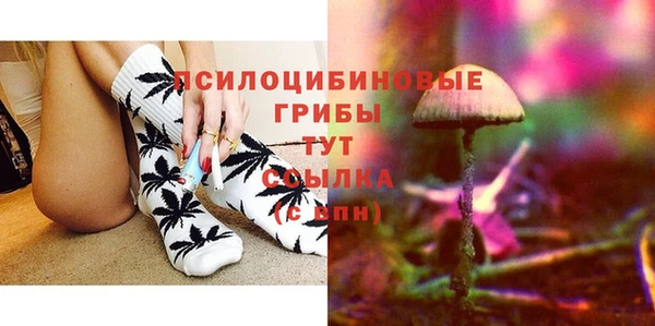таблы Дмитриев