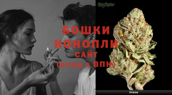 прущие крисы Елабуга
