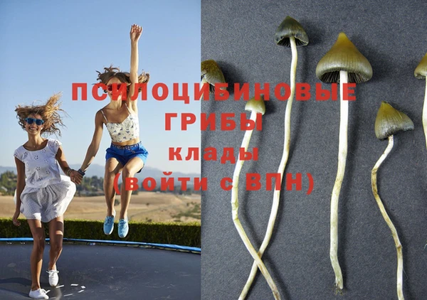 таблы Дмитриев